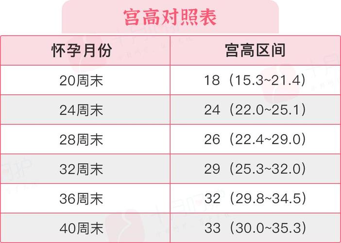 找人供卵试管代怀怀孩子需要多少费用(找人供卵试管代怀怀孩子需要多少费用?)
