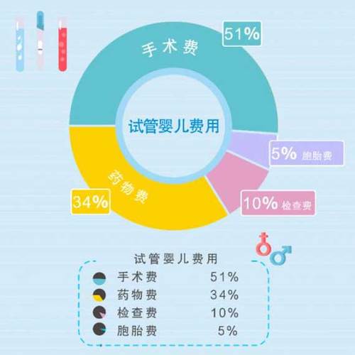 国内供卵试管代怀的全包费用(国内供卵试管代怀全包费用一站式服务)