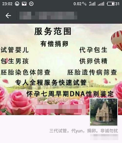 国内供卵试管代怀微信交流群-国内供卵试管代怀微信交流群:经验分享与交流