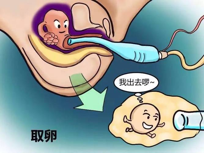 试管供卵试管代怀可靠吗【试管供卵试管代怀可靠吗：科学技术的突破与伦理道德的考量】