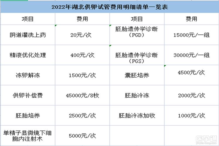 医院供卵试管代怀费用_医院供卵试管代怀费用解析及比较